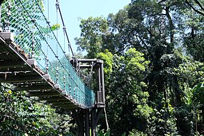 吉隆坡森林生態公園