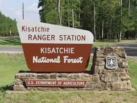 A Kisatchie Nemzeti Erdő című cikk szemléltető képe
