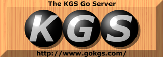 Fortune Salaire Mensuel de Kgs Go Server Combien gagne t il d argent ? 1 000,00 euros mensuels