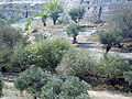 Kidron Valley