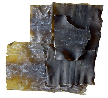 File:Kombu.jpg