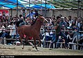 ھێما بۆ وەشانی  ‏٢١:٣٤، ١٠ی کانوونی دووەمی ٢٠٢٣