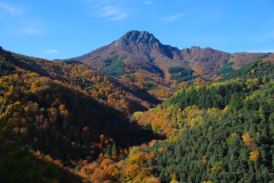 Parque natural del Montseny