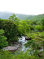 Grande-Rivière des Vieux-Habitants