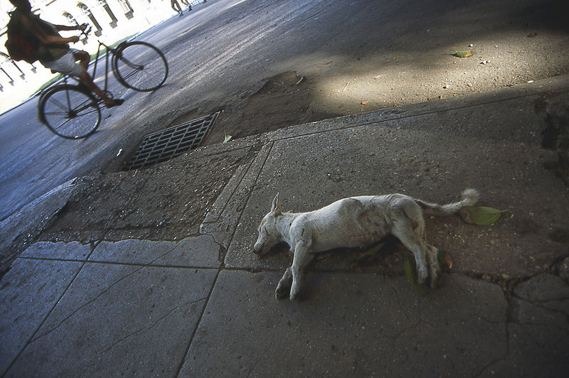 File:La habana cuba3.jpg