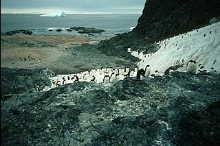 Lagotellerie Island Antarctic Specially Protected Area