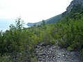 Lake Prespa (southern shoreline).JPG