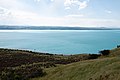 Lake Pukaki プカキ湖