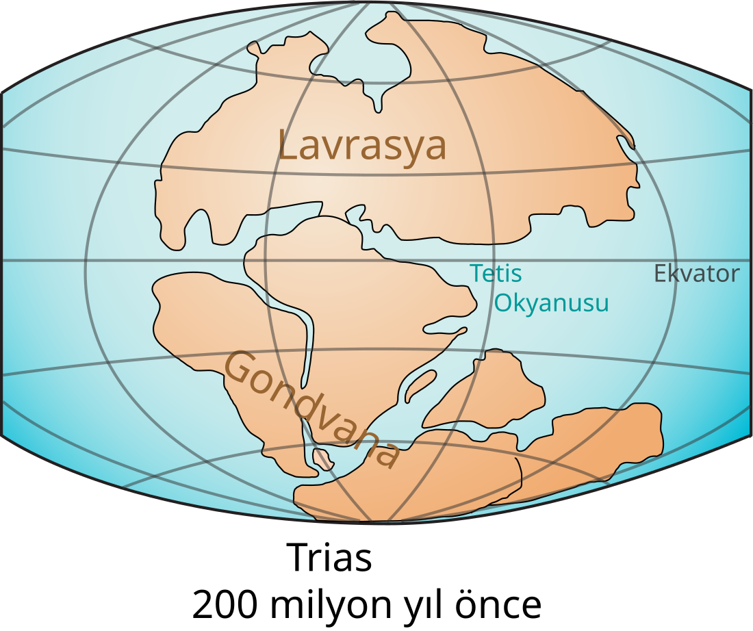 File:Laurasia-Gondwana tr.svg