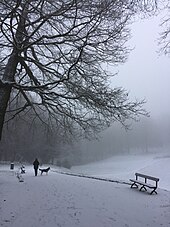 Vue du ravin en hiver, depuis le chemin du Pont Rustique