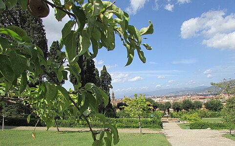 Vue de Florence depuis le Jardin de Boboli