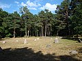 English: Stone circle in park in Lębork, Poland Polski: Kamienny krąg w parku miejskim w Lęborku Camera location 54° 32′ 42″ N, 17° 45′ 38″ E  View all coordinates using: OpenStreetMap