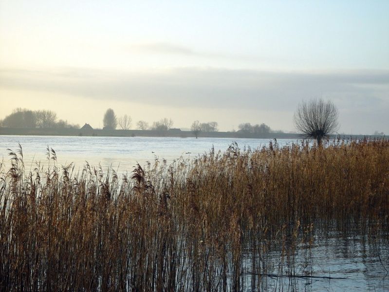 File:Lek 25-1-2004 - panoramio.jpg