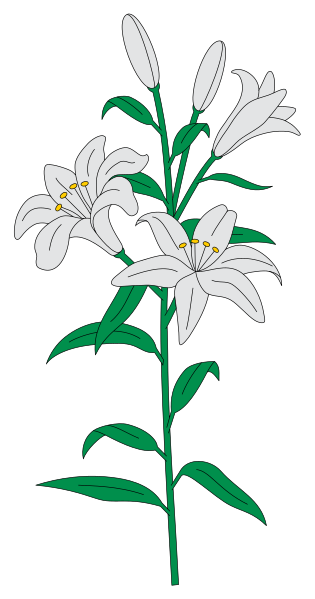 Download File:Lilies - heraldry.svg - Wikimedia Commons