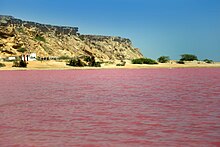 pink lake africa