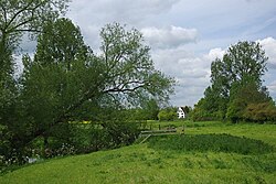 Sedikit Waltham Meadows - geograph.org.inggris - 1284637.jpg