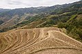 * Nomination Longsheng Rice Terraces. --King of Hearts 04:24, 10 June 2020 (UTC) * Promotion Good quality --Llez 05:40, 10 June 2020 (UTC)