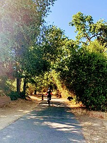 Los Alamitos Creek Trail