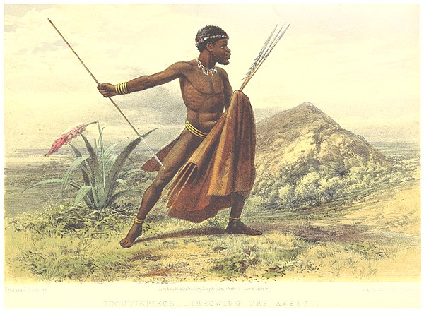 Xhosa spearman