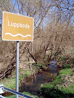 Luppbode.jpg