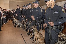 MTA Police Department's Explosive Detection Training Course Canine Graduation MTA Police Department's Explosive Detection Training Course Canine Graduation (40008887921).jpg