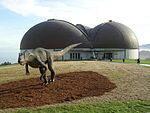 Museo del Jurásico de Asturias