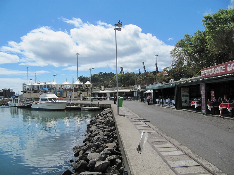 File:Madeira em Abril de 2011 IMG 1851 (5663720433).jpg