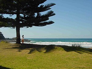 The surf at Malua Bay MaluaBay.jpg