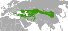 Carte d'Eurasie, avec une large zone verte horizontale au centre.