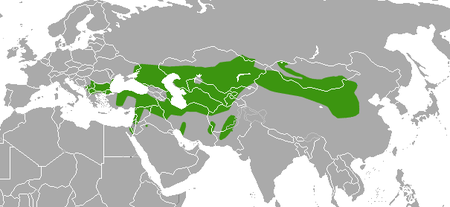 Tập_tin:Marbled_Polecat_area.png