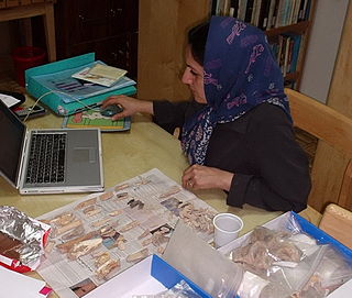 Marjan Mashkour Iranian archaeologist