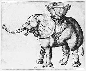 Louis Xiv's Elephant