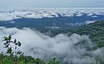 Miniatura para Parque nacional de Takamanda