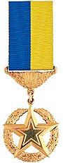 Medal of Golden Star Ukraine.jpg