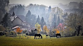 Nature park Medvednica. Photograph: Miroslav.vajdic (CC BY-SA 4.0)