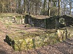 Burg Rodenberg