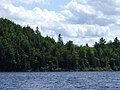 Vignette pour Lac Michigamme