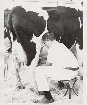 Stanislaus County Fair