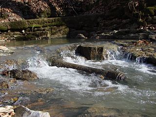 This is the Mill Spring and the remains of the pipe that carried water about 1/4 mile to the Mill. Mill Spring.jpg
