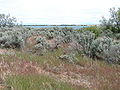 Thumbnail for Minidoka National Wildlife Refuge