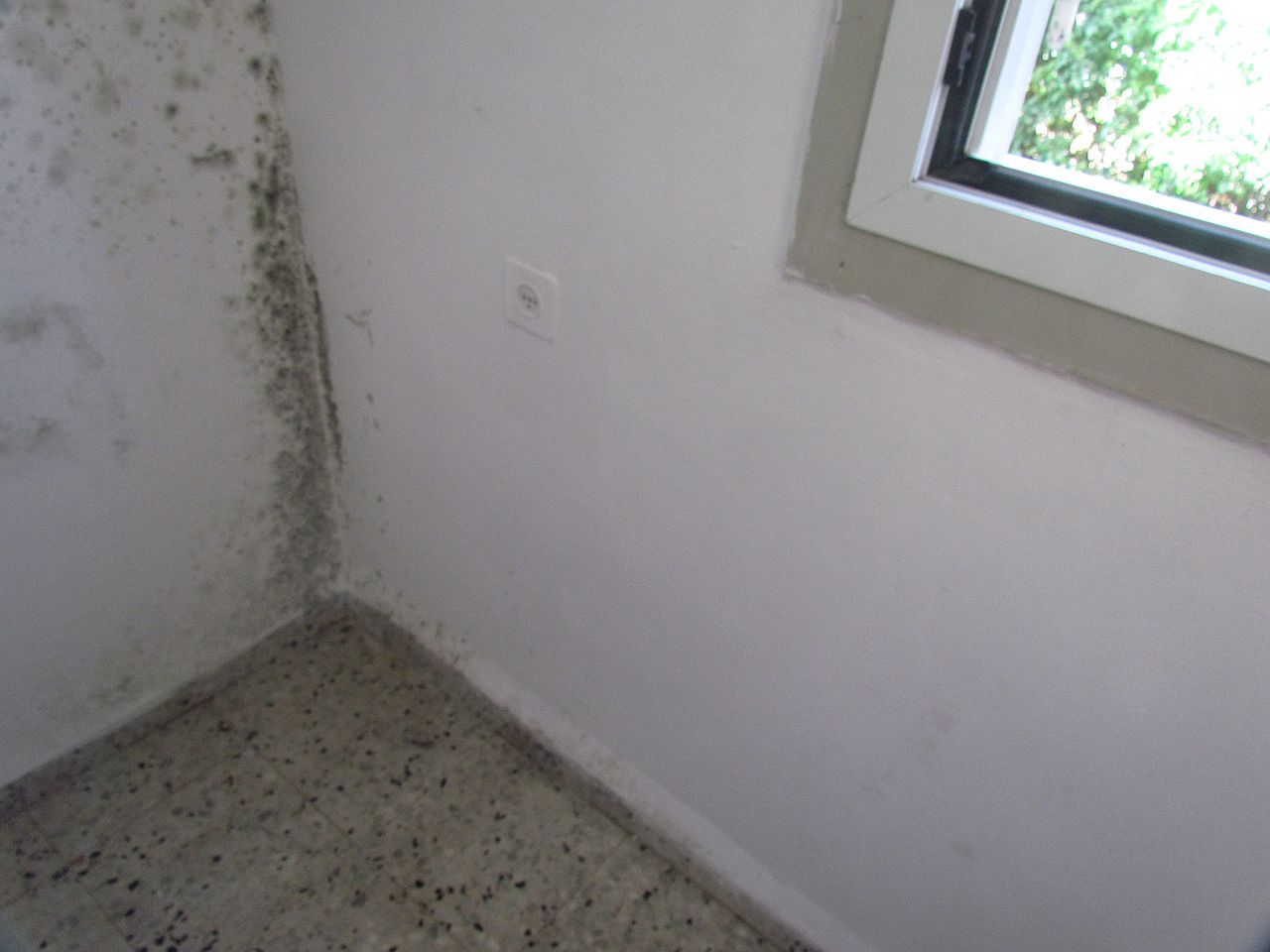 Mold near a window inside a home.