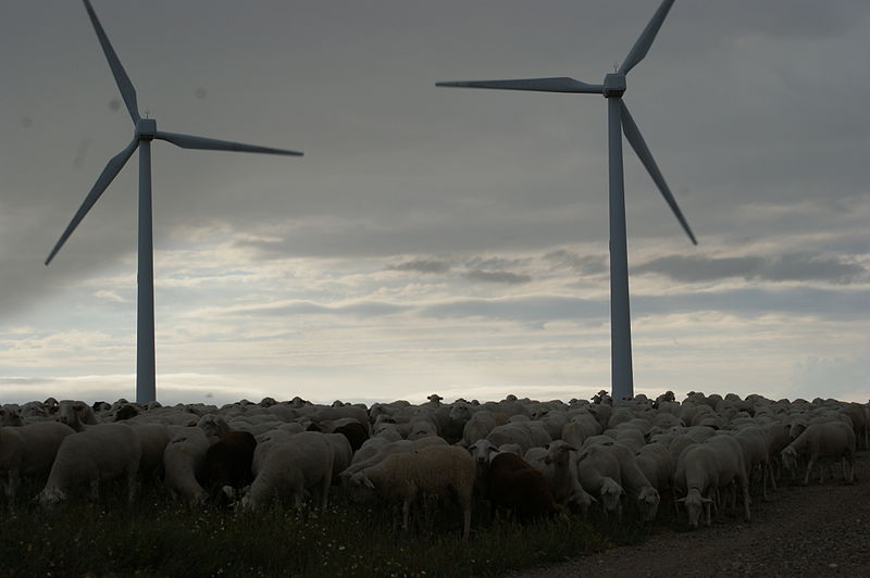 File:Molinos para generar electricida en navarra.JPG