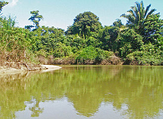 Estuarine lower reach of Monkey River, Belize Monkeyriverestuary.jpg
