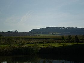 Udsigt over bjerget fra Jeandelaincourt-dammen.