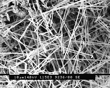Scanning electron microscope (SEM) image of moonmilk, showing fibrous calcite (calcium carbonate) strands approximately 0.83μm (0.00083 millimetres) thick.