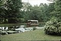 Mule pulls canal boat along a remaining watered section of the Morris Canal on Canal Day at Waterloo Village in 1998.