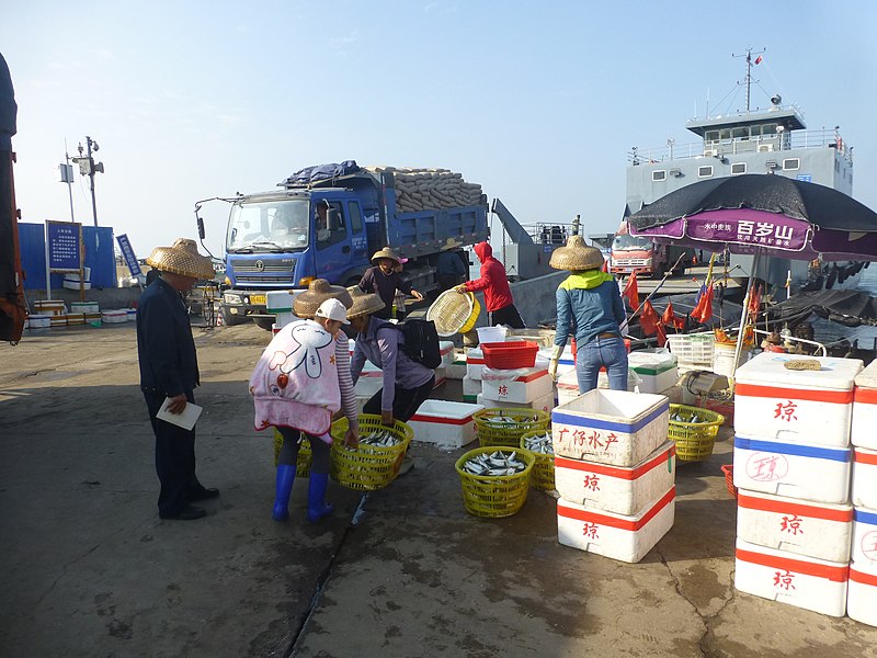 File:Naozhou-Dongnan ferry - P1580135 - cargo ferry.JPG