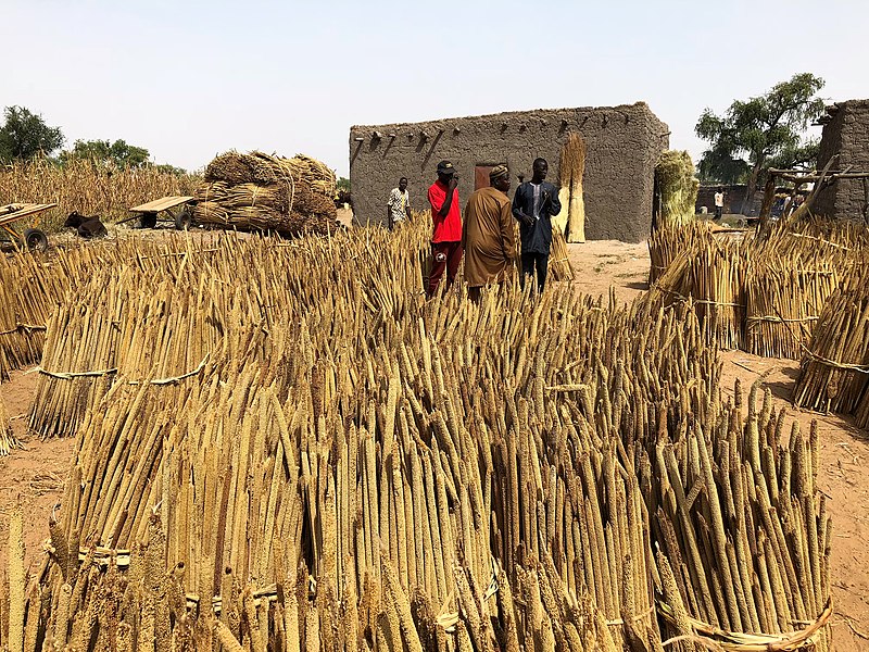 File:Niger, N'Gonga (5), sale of millet on market day.jpg