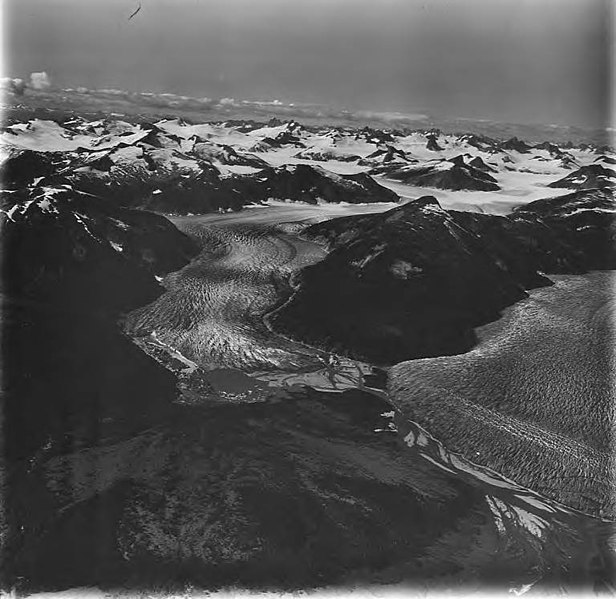 File:Norris and Taku Glaciers, terminus of valley glaciers seperated by a braided stream, and firn line visible in the background (GLACIERS 6073).jpg