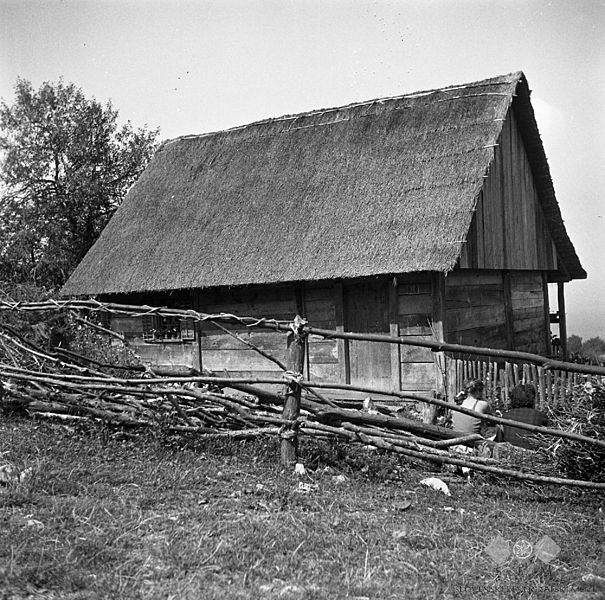 File:Novejša lesena hiša, delana na čepe, Male Vodenice 1956.jpg